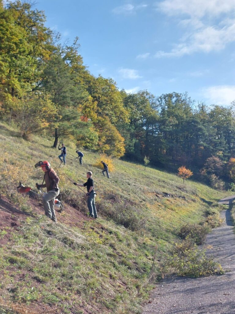 Helfer bei der Pflegemaßnahme