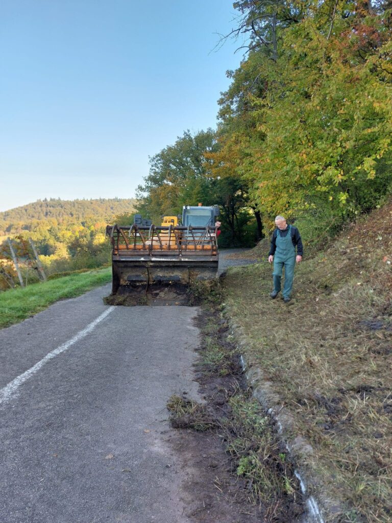 Teleskoplader im Einsatz